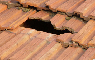 roof repair Dhustone, Shropshire