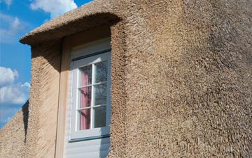 Dhustone thatch roof disadvantages