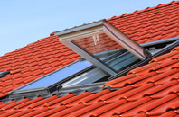 Dhustone roof window