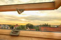 rated Dhustone roof window companies